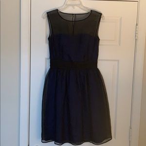 Cobalt blue with black sheer overlay dress